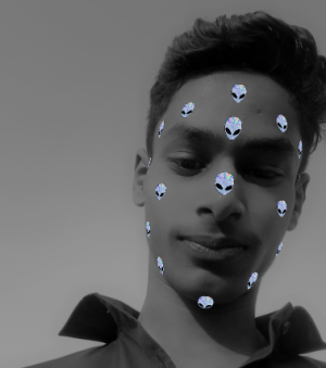 Sameer Ansari-Freelancer in Kanpur,India