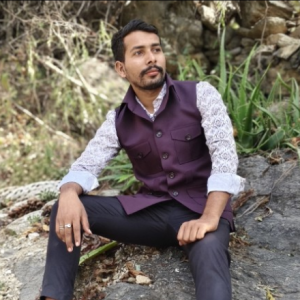 Lalit singh chouhan-Freelancer in Rajsamand,India