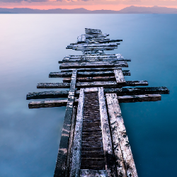 Tiffany Zamora-Freelancer in Austin,USA