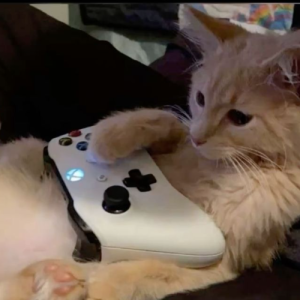 Sanidhya Shrivastava-Freelancer in Indore,India