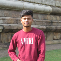 Vishal V-Freelancer in Narasimhanaickenpalayam,India