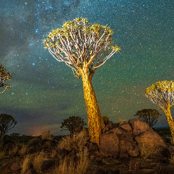 Selvin Pateliya-Freelancer in Anand,India