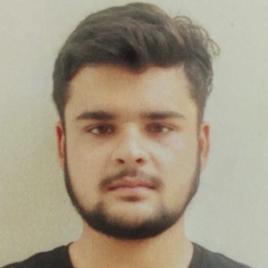 Resham Singh-Freelancer in Panipat,India