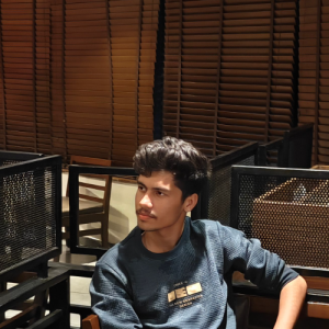 Ritesh Kumar-Freelancer in Mesra,India