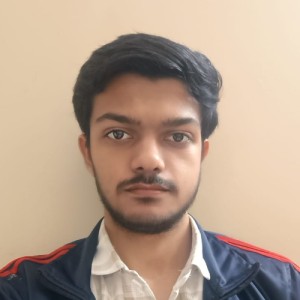 Kshitiz Kumar-Freelancer in Nagpur,India