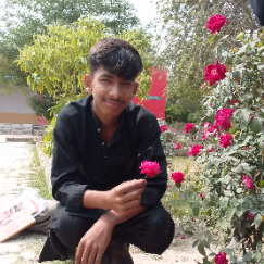 Rana Zain Rajput-Freelancer in Faisalabad,Pakistan