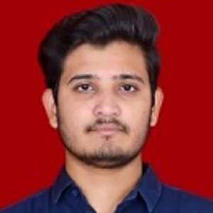 Anuj Parashar-Freelancer in Noida,India