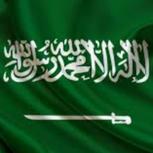 Shomo Hk700-Freelancer in Jeddah,Saudi Arabia