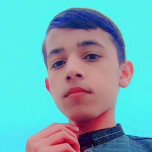 Sameer Ali-Freelancer in Karianwala 73 R.B.,Pakistan