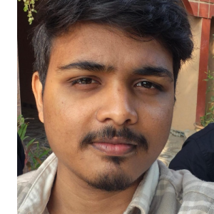 Mr. Susant-Freelancer in Bhubaneswar,India