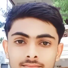 Ary Bhatt-Freelancer in Allahabad,India