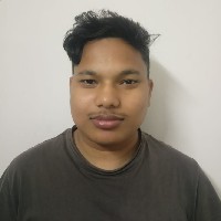 Dipu Roy-Freelancer in Binnaguri,India