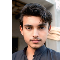 Saad Khokhar-Freelancer in Mithan Kot,Pakistan