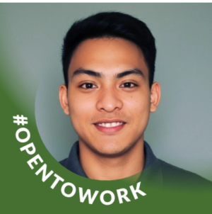 Joshua Llanzana-Freelancer in Olongapo City,Philippines