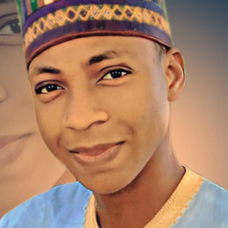 Ahmad Sharif Usman 001-Freelancer in Nguru,Nigeria