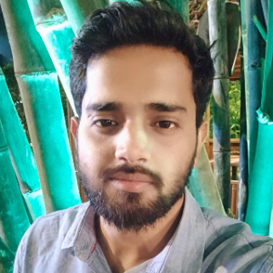 Harsh Kumar-Freelancer in Lucknow,India