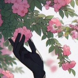 Amina Malik-Freelancer in Kasur,Pakistan