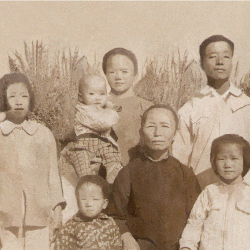 Yvette Co-Freelancer in Manila,Philippines