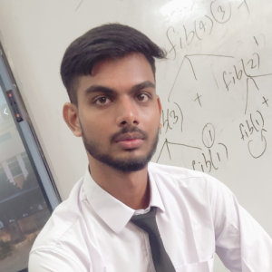 Ashish Sharma-Freelancer in Patna,India