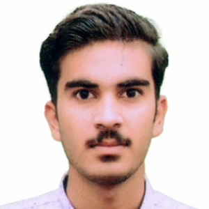 Mukul Sharma-Freelancer in Nathdwara,India