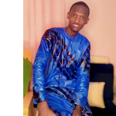 Alieu Sabally-Freelancer in Brikama,Gambia the