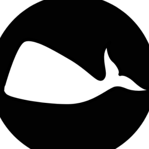 Vhite Vhale-Freelancer in Jaipur,India