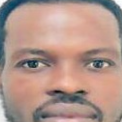 Godwin Williams Ametsi-Freelancer in Accra,Ghana