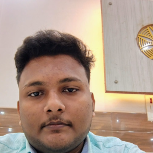 Adil Raza-Freelancer in Varanasi,India