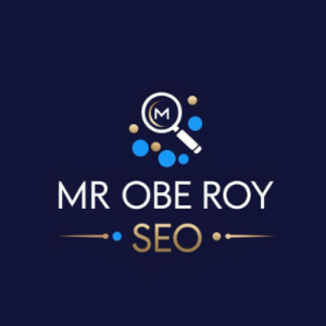 Seo Specialist-Freelancer in Sojat City,India
