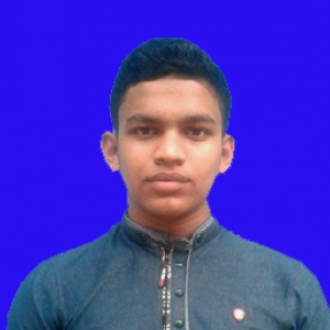 Mehedi Hasan-Freelancer in Jessore,Bangladesh
