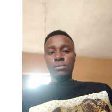 Emmanuel Somtochukwu-Freelancer in Lagos,Nigeria