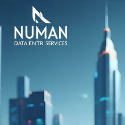 Numan Ali-Freelancer in Faisalabad,Pakistan