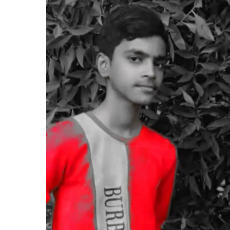 Mo Sarik Andari-Freelancer in Kadodara,India