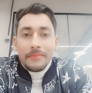 Ankur Dhiman-Freelancer in Ambala,India