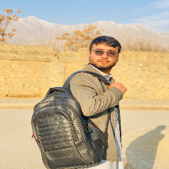 Hamayoon Nabizada-Freelancer in Charikar,Afghanistan