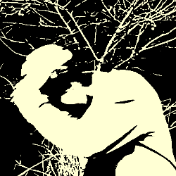 veer lyricist-Freelancer in Vasai-Virar,India