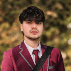 Dheeraj Thakur-Freelancer in Gwalior,India