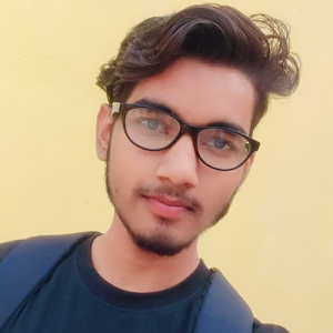 Ravi Shakya-Freelancer in agra,India