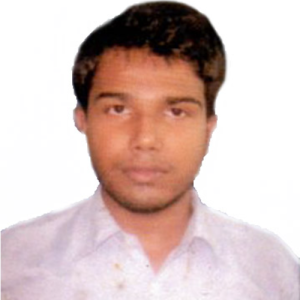 Rajib Bhowmik-Freelancer in Agartala,India