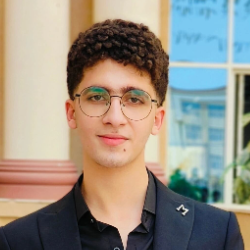 Mohamed Elboraei-Freelancer in ,Egypt