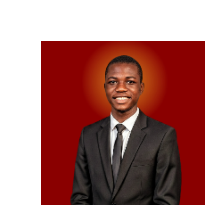 Joseph Chinedu Echemazu-Freelancer in Warri,Nigeria