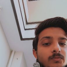 Hassan Zaib-Freelancer in Islamabad,Pakistan