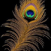 Meghana Gohil-Freelancer in Vadodara,India