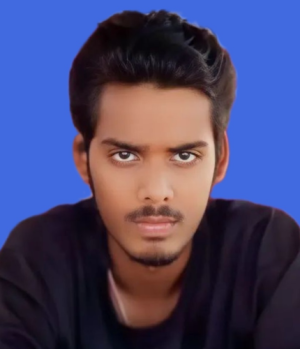 Ali Sher Khan-Freelancer in Palamu,India