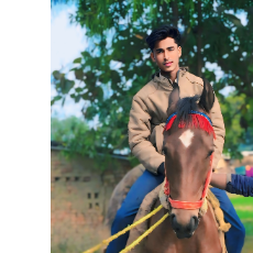 Abid Ali-Freelancer in Mau,India