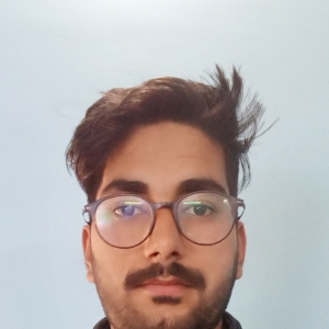 Mohit Lohani-Freelancer in New Delhi,India