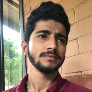 Dinush Maleesha-Freelancer in Malabe,Sri Lanka