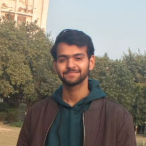 Ayush Tiwary-Freelancer in Bharthia,India
