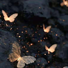 Parul-Freelancer in Mahendergarh,India