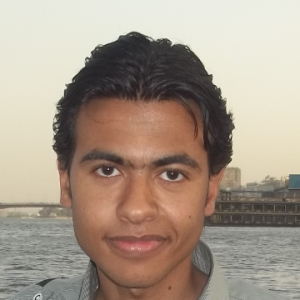 Ahmed Ibrahim-Freelancer in ,Egypt
